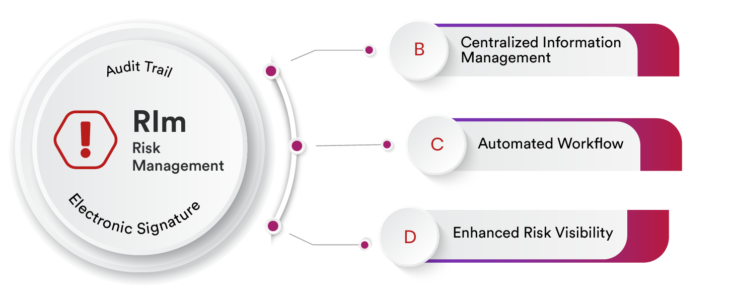 Top Risk Management System 2024